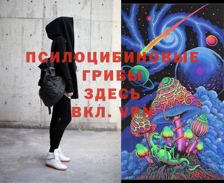 Галлюциногенные грибы Magic Shrooms  Малаховка 